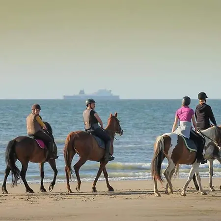 Vakantiehuis De Warincthun