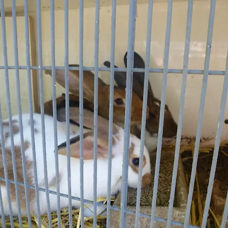 Vakantiehuis De Warincthun *